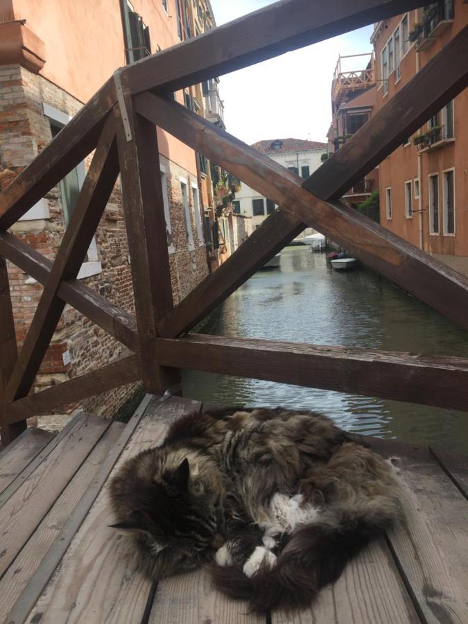 Tintoretto 4, 3 Grandi Da Letto, 2 Bagni Apartament *